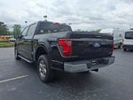 2024 F-150 Thumbnail 8