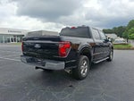 2024 F-150 Thumbnail 10