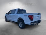 2024 F-150 Thumbnail 15