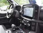 2024 F-150 Thumbnail 11