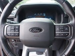 2024 F-150 Thumbnail 21