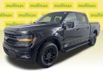 2024 F-150 Thumbnail 15