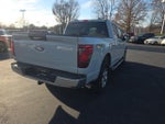 2024 F-150 Thumbnail 8
