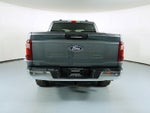 2024 F-150 Thumbnail 6