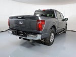 2024 F-150 Thumbnail 8