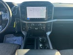 2024 F-150 Thumbnail 13