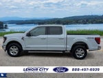 2024 F-150 Thumbnail 5