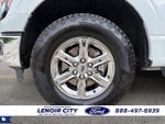 2024 F-150 Thumbnail 8