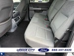 2024 F-150 Thumbnail 10