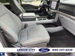 2024 F-150 Thumbnail 12