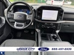2024 F-150 Thumbnail 13