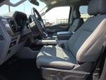 2024 F-150 Thumbnail 11
