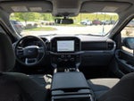 2024 F-150 Thumbnail 14