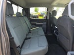 2024 F-150 Thumbnail 17