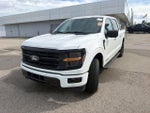 2024 F-150 Thumbnail 3