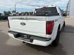 2024 F-150 Thumbnail 11