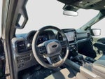 2024 F-150 Thumbnail 11