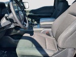 2024 F-150 Thumbnail 20