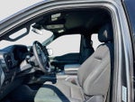 2024 F-150 Thumbnail 22