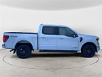 2024 F-150 Thumbnail 6