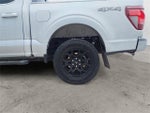 2024 F-150 Thumbnail 14