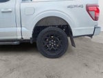 2024 F-150 Thumbnail 14