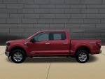 2025 F-150 Thumbnail 5