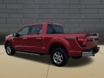 2025 F-150 Thumbnail 6