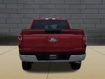 2025 F-150 Thumbnail 7