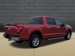 2025 F-150 Thumbnail 8