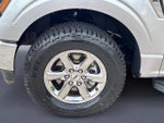 2025 F-150 Thumbnail 11