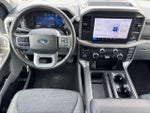 2025 F-150 Thumbnail 19