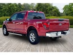 2025 F-150 Thumbnail 4