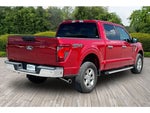 2025 F-150 Thumbnail 6