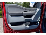 2025 F-150 Thumbnail 18
