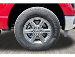 2025 F-150 Thumbnail 28