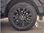 2025 F-150 Thumbnail 6