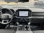 2025 F-150 Thumbnail 14