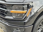 2025 F-150 Thumbnail 10