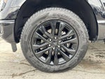 2025 F-150 Thumbnail 13