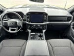 2025 F-150 Thumbnail 14