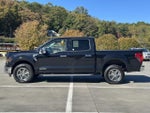2024 F-150 Thumbnail 4