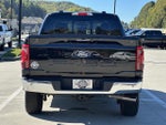 2024 F-150 Thumbnail 6