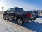 2024 F-150 Thumbnail 4