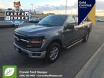 2024 F-150 Thumbnail 3