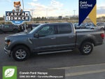 2024 F-150 Thumbnail 5