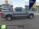 2024 F-150 Thumbnail 10