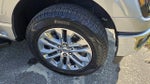 2024 F-150 Thumbnail 11