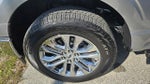 2024 F-150 Thumbnail 14