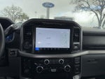 2024 F-150 Thumbnail 8